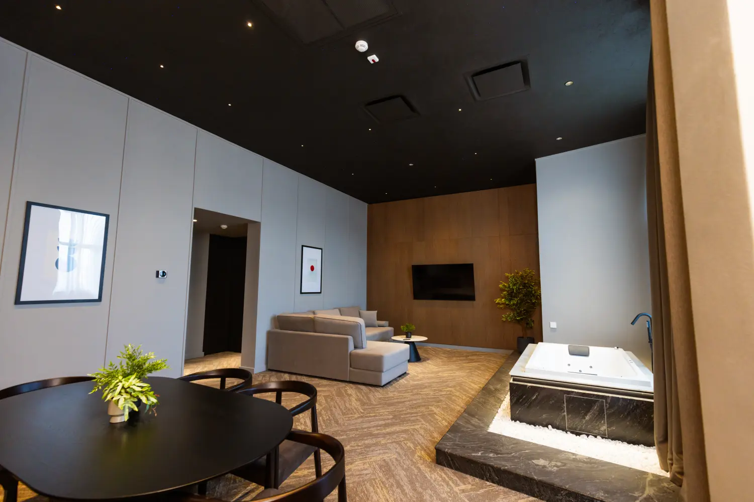 Deluxe One Bedroom Apartment